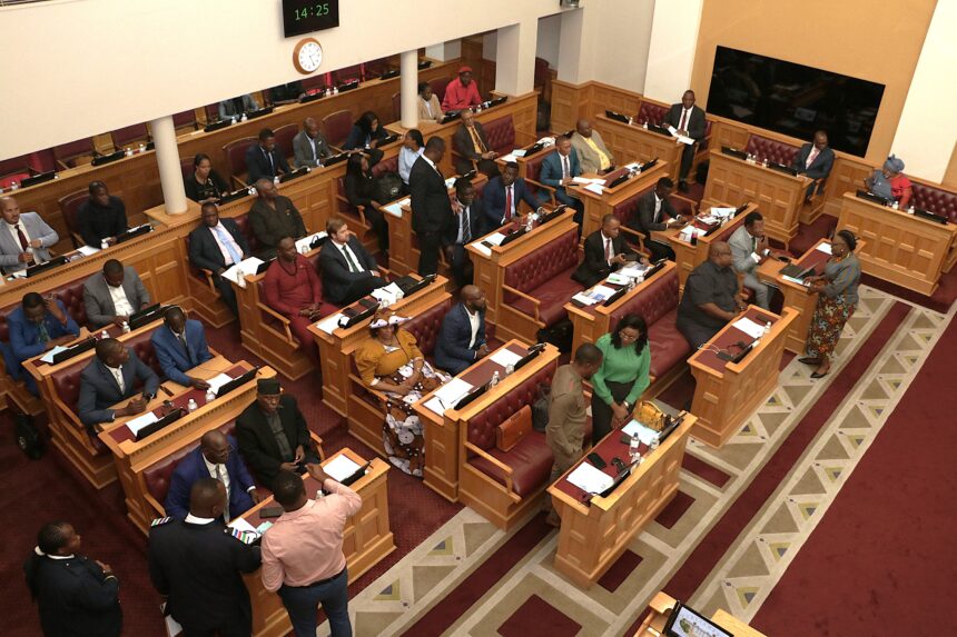 MPs tackle health, gender and social welfare