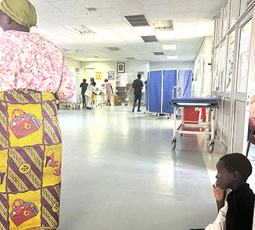 Malaria cases nearly hit 96 000 … 204 deaths recorded in two years 