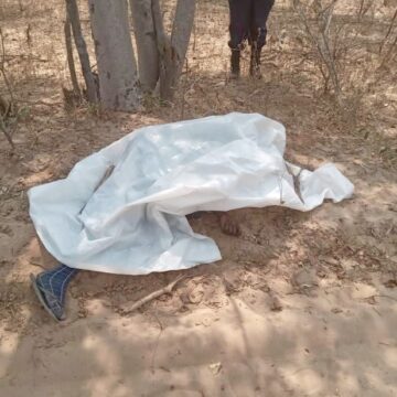 E lituwa a xulifa eshi vati a yashwa kuwalye 