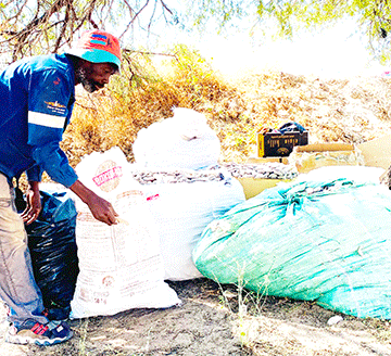 Surviving-on-pods Omutumba efete: omukulupe ta landifa omahakashala