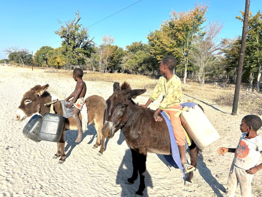 80% yaakalimo kOkongo otaya longitha omeya ga yela 