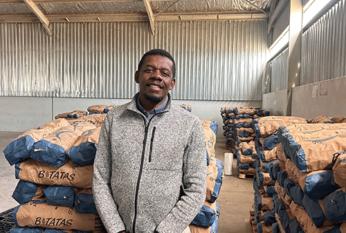 Sikondo projects harvest N$4m worth of potatoes