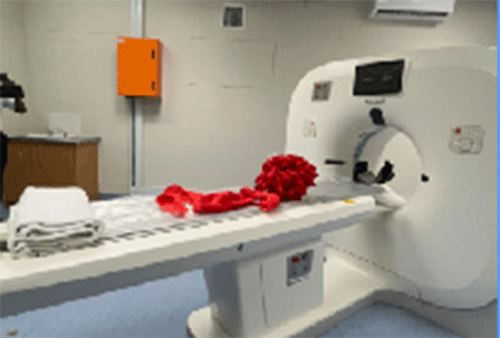Walvis gets CT scanner