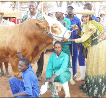 Ombaramana ondema nOvanrooy ondume mape ya avi rire ovyoye!