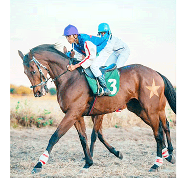 Starlile set for retirement 