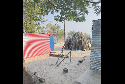 Ohokwe yomuhongi – Va dengela eebashu pofikola  …Ehongo lokaana Okanamibia komapepe avo 