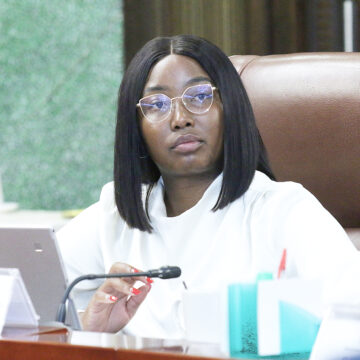 Cabinet_Heather Erdmann Govt to implement SADC resolutions