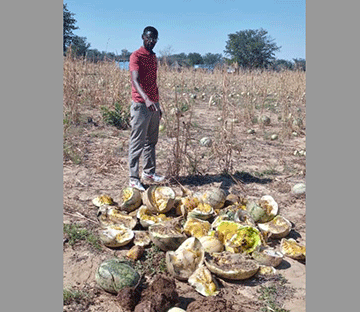 Va tembuka metungu molwookahenge 