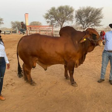 Farmers impress at Epukiro show …quality on display