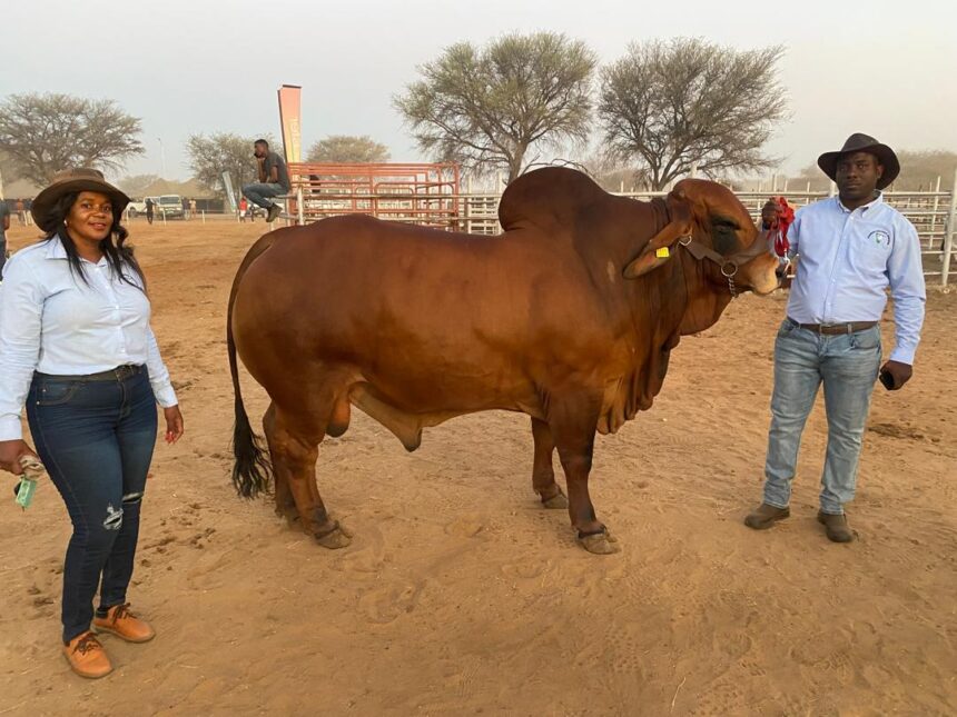Epukiro Expo 1 Farmers impress at Epukiro show …quality on display