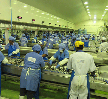 Etosha Etosha lands first pilchards after moratorium