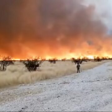 Ovanhu noifitukuti oya amenwa kondalu yaNelyanga mEtosha 