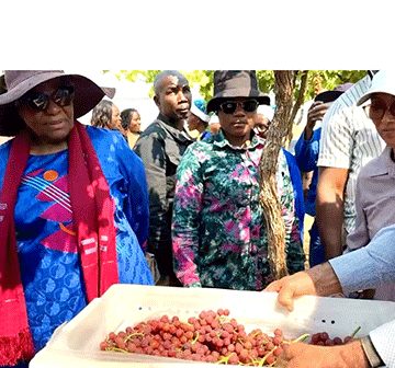 Mueteleli wanaha ukongela kupotela masimu