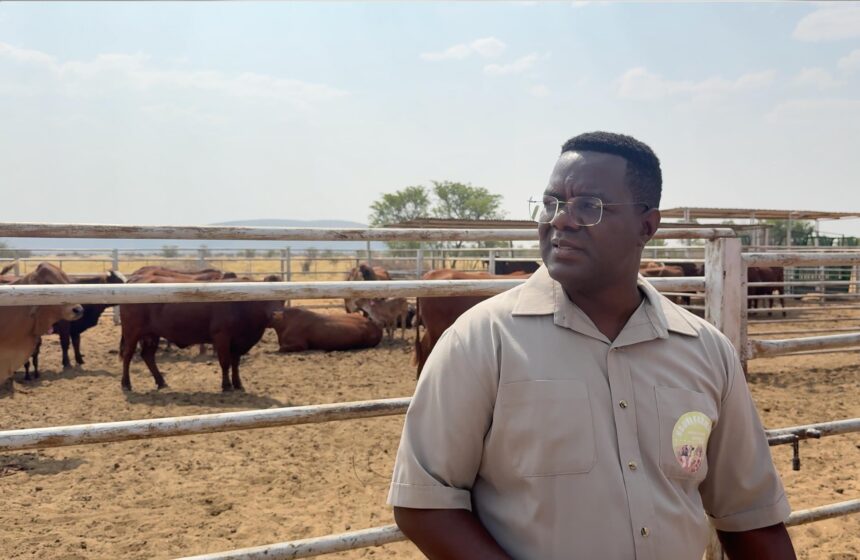 A resettlement success story  …Farm Rustig proves naysayers wrong