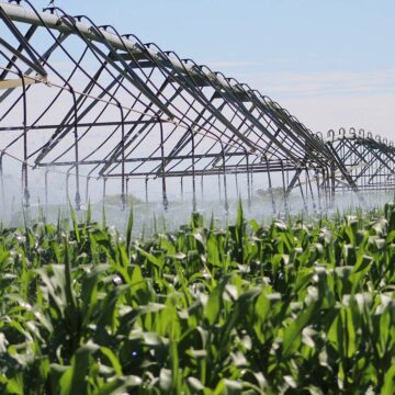 Farmers’ Kraal with Hanks Saisai – Integrating renewable energy into agriculture