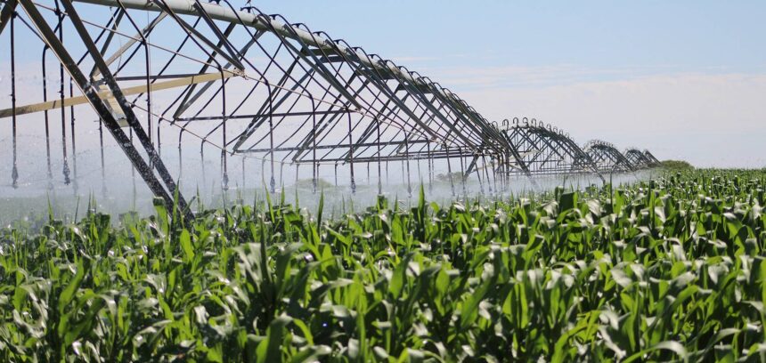 Farmers’ Kraal with Hanks Saisai – Integrating renewable energy into agriculture