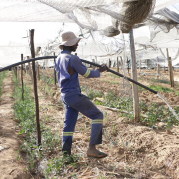 Farmers’ Kraal with Hanks Saisai –  Why you should register as a crop farmer 