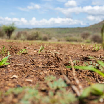 Farmers’ Kraal with Erastus Ngaruka – Rangeland productivity, utilisation and degradation 