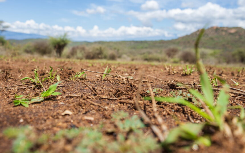 Farmers’ Kraal with Erastus Ngaruka – Rangeland productivity, utilisation and degradation 