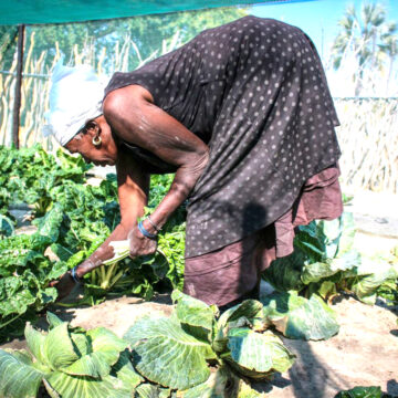 Food Nourish-- WFP nourishes Omusati village