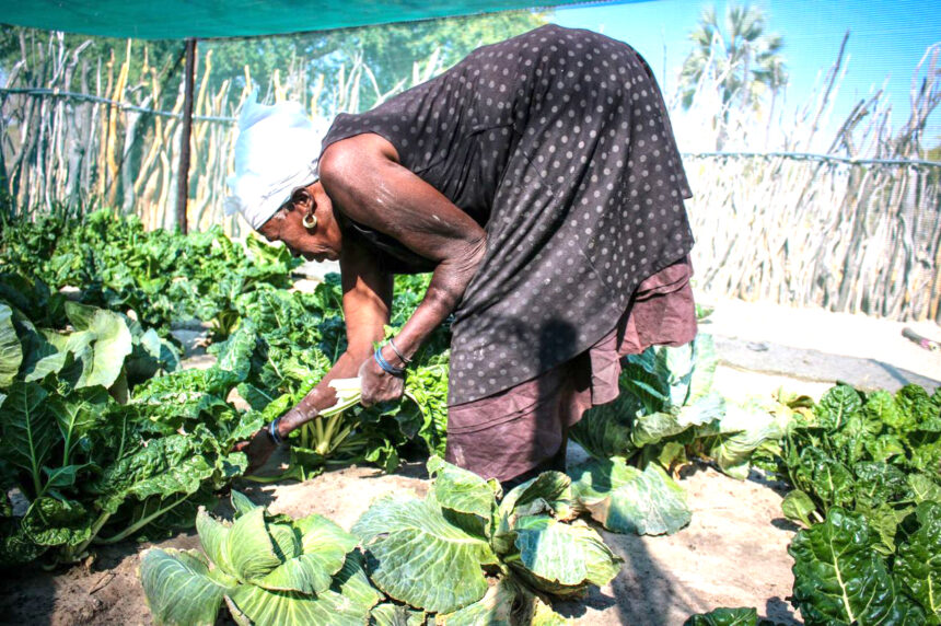 WFP nourishes Omusati village
