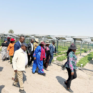 Ogongo sets pace for food innovation