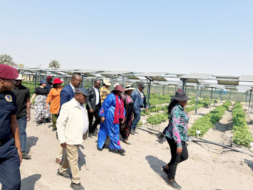 Ogongo sets pace for food innovation