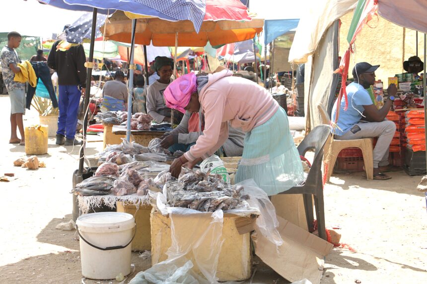 The heartbeat of Havana spaza …where chaos and rhythm meet