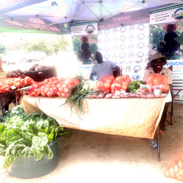 ‘Edu lounafaalama moZambezi otali hepa’