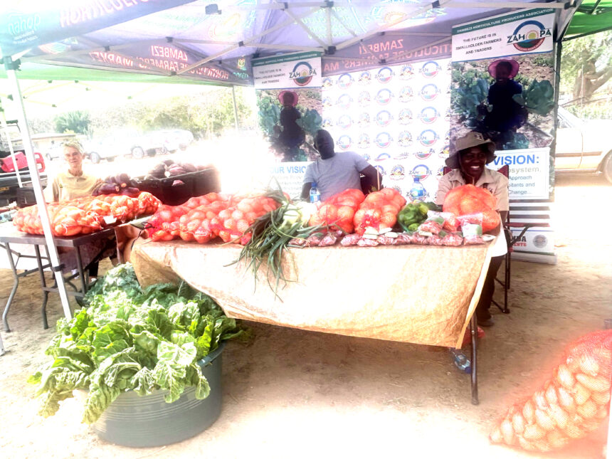 ‘Edu lounafaalama moZambezi otali hepa’