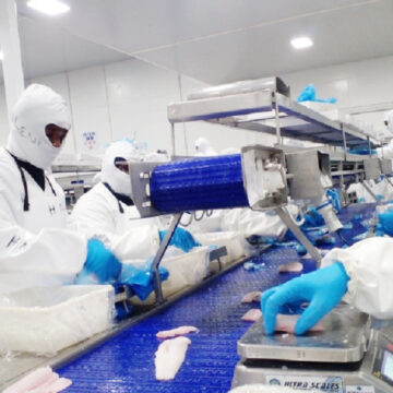 NSA Mining dominates June domestic exports …as uranium, gold and diamonds remain key contributors