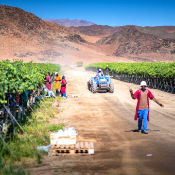 Nedbank backs agri growth through mega deal