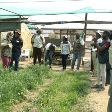 Parly committee visits Farm Krumhuk …farmers urged to embrace organic farming