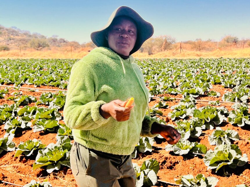 Tsuob !hanagu ge ǂûn, sîsenn tsî !âubasensa ra mā