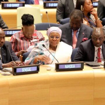 Palestine Namibia to champion Palestine recognition