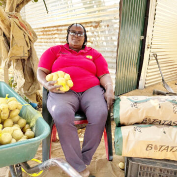 Potato 2 Agronomic board, Agribank boost local potato production …1 500 jobs to be created