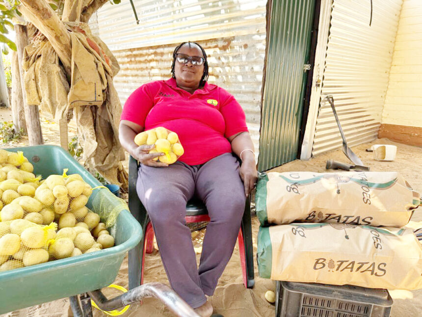 Agronomic board, Agribank boost local potato production …1 500 jobs to be created