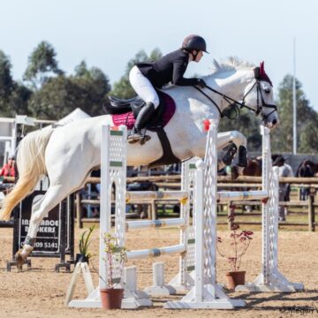Shani 2 Namibian showjumper dominates Shongweni Derby