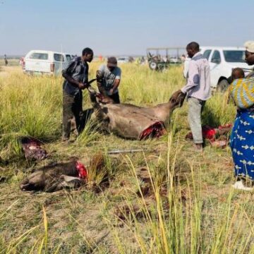 Eenyati 90 da fila momeva koZambezi 