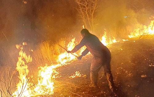 etosha-fire Etosha wildfire threatens wildlife, communities