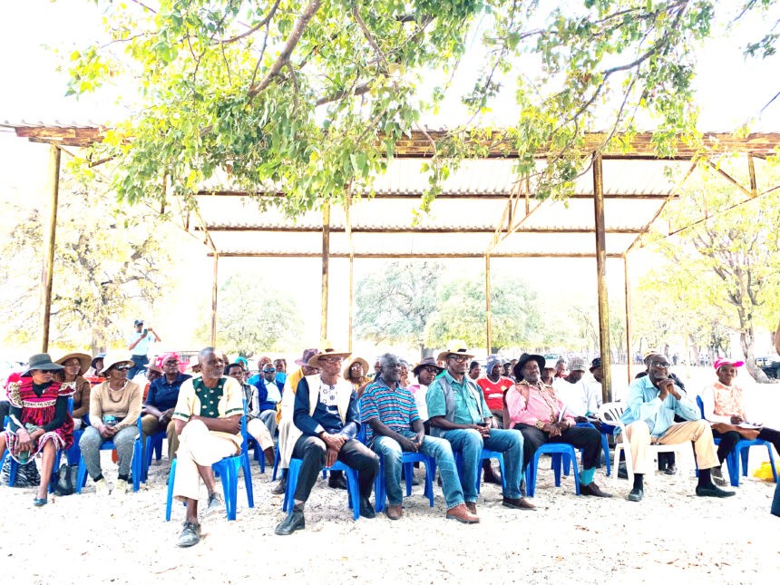 Ovakulupe vaKaku va lulilwa kokatoo