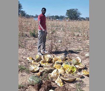 Va tembuka metungu molwookahenge 