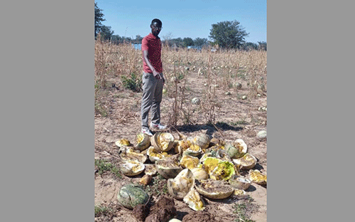 Va tembuka metungu molwookahenge 