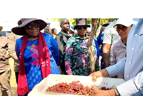 Etunda Mueteleli wanaha ukongela kupotela masimu