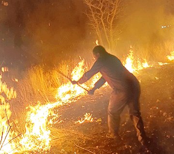 etosha-fire Ondalu ongohela kOmusati