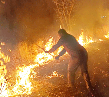 etosha-fire Etosha wildfire threatens wildlife, communities