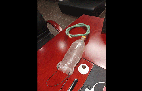 Boy-- Mulyani wa mupolofita ulenga mwanana mwa sipatela