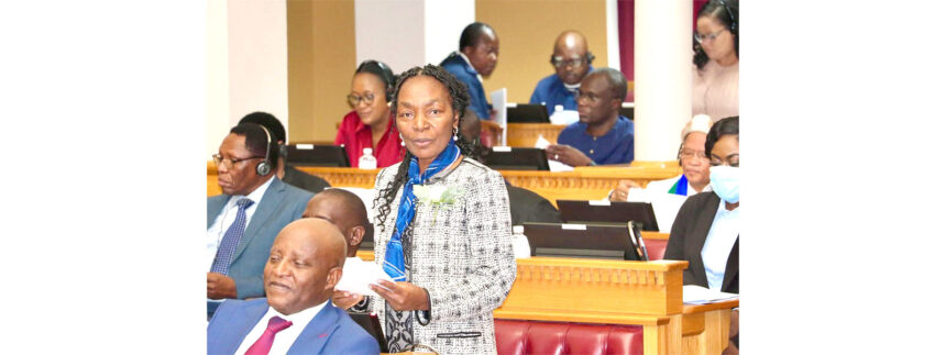 Mid-term budget responds to slower growth …as Shafudah steers development, debt and reform