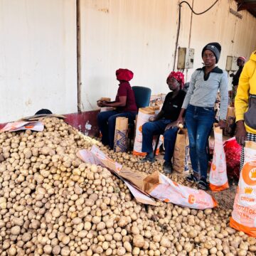 Etunda enhances food security …scheme produces first havest of potatoes