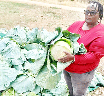 Farama zaEtunda kazi geve uhwi kovanadorongo nokovanasure